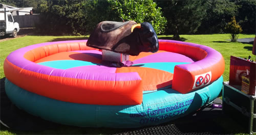 Rodeo Bull Hire Swansea